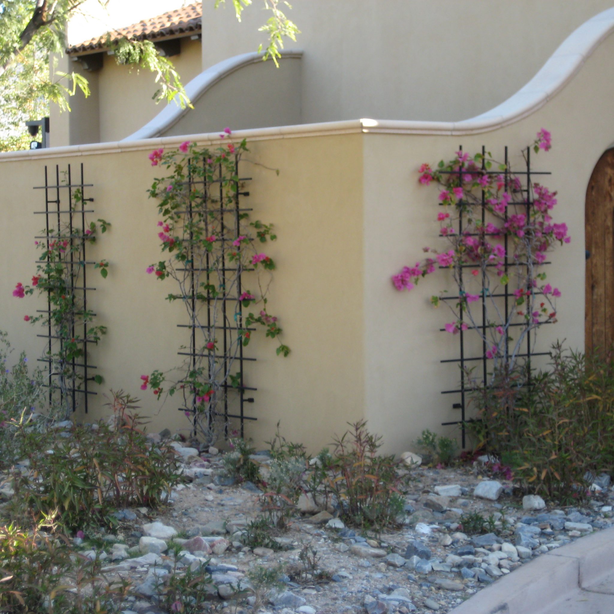 Gallery Arizona Trellis Gardening Trellises