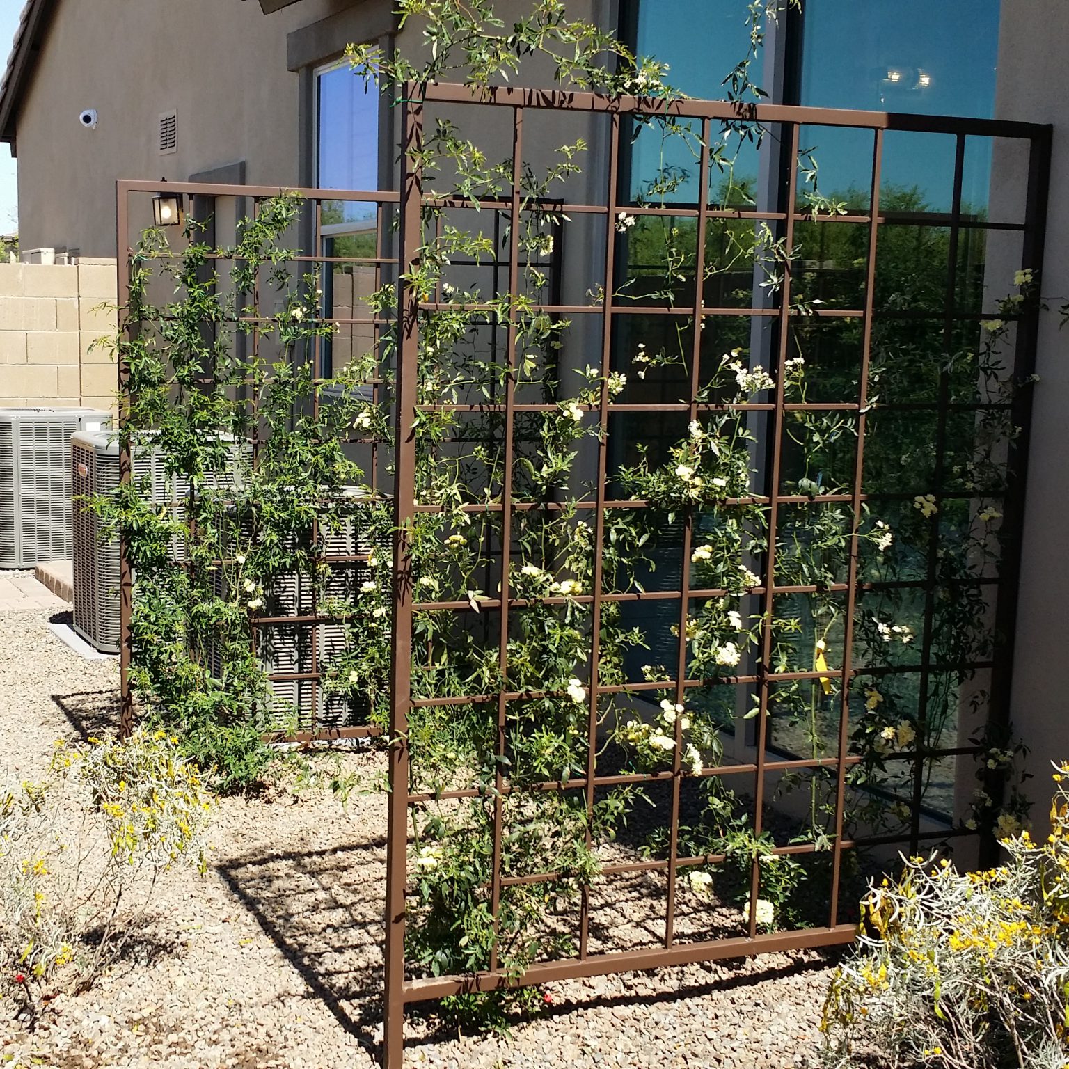 Gallery Arizona Trellis Gardening Trellises
