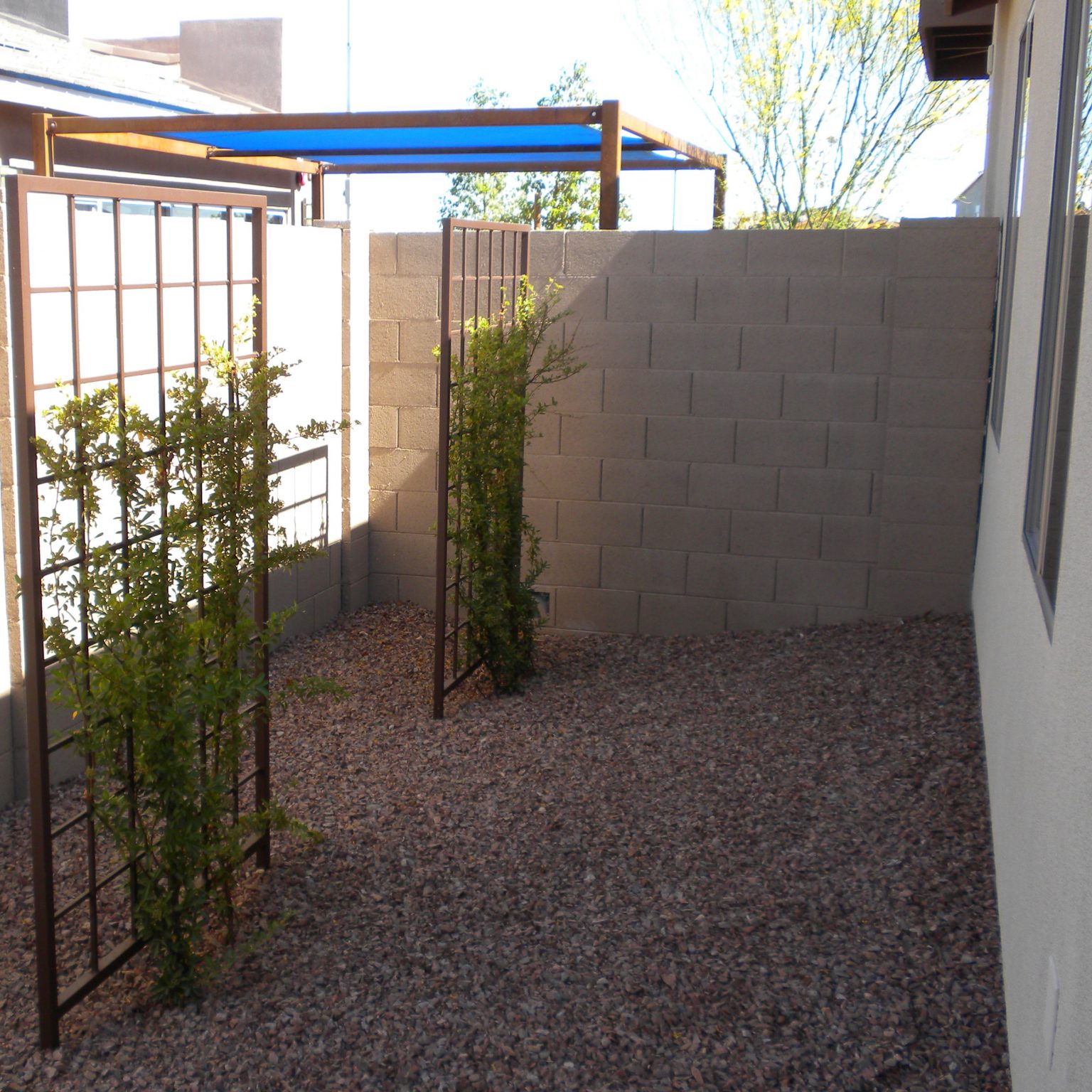 Gallery Arizona Trellis Gardening Trellises